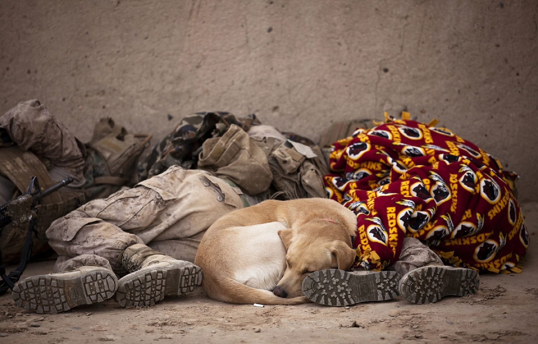 Two sodiers sleeping on the ground with a dog between them