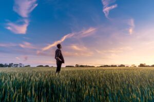 A man stands in a grassy field at sunset, looking up at the sky.