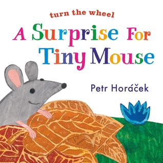 A Surprise for Tiny Mouse by Petr Horacek