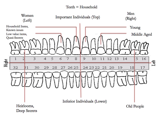 A chart of teeth, showing the different meanings behind them in dreams.